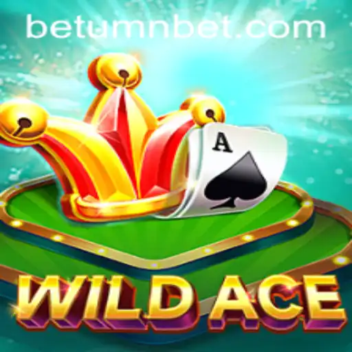 Exploring WildAce: The Thrilling Casino Game